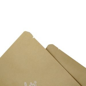 Biodegradable coffee bag